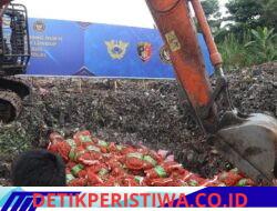 Bareskrim Polri Musnahkan Ribuan Kilogram Bawang Impor Ilegal dari Jalur Tikus Perbatasan Malaysia