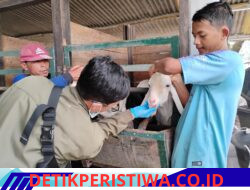 DKP3 Majalengka Kerahkan Puluhan Petugas Awasi Kesehatan Hewan Kurban Jelang Iduladha 2026