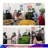 Dinkes Lhokseumawe Sidak SPPG Pukul 03.00 WIB, Perketat Pengawasan Program Makan Bergizi Gratis