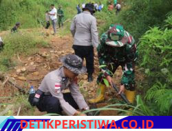 ‎Kodim 0106/Aceh Tengah Gelar Penanaman Pohon, Wujud Nyata Kepedulian Lingkungan dan Mitigasi Bencana