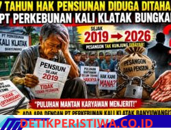 Jerit para mantan karyawan PT Perkebunan Kali Klatak kian memprihatinkan.