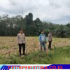Kapolsek Way Serdang Jajaran Polres Mesuji beserta anggota, secara serentak melaksanakan pengecekan dan peninjauan langsung ke lokasi lahan pertanian yang rencananya akan dijadikan lokasi penanaman jagung