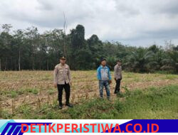 Kapolsek Way Serdang Jajaran Polres Mesuji beserta anggota, secara serentak melaksanakan pengecekan dan peninjauan langsung ke lokasi lahan pertanian yang rencananya akan dijadikan lokasi penanaman jagung