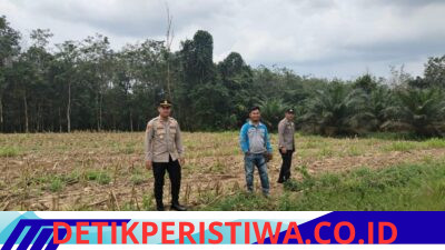 Kapolsek Way Serdang Jajaran Polres Mesuji beserta anggota, secara serentak melaksanakan pengecekan dan peninjauan langsung ke lokasi lahan pertanian yang rencananya akan dijadikan lokasi penanaman jagung