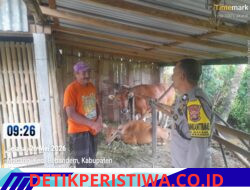 Antisipasi Pencurian Ternak Jelang Idul Adha, Bhabinkamtibmas Polsek Bebandem Sambangi Peternak Sapi di Desa Macang