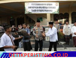 Bentuk Kepedulian di Momen Hari Raya Idul Adha, Polda Bali Serahkan 96 Ekor Hewan Kurban 
