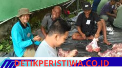 Hari Raya Idul Adha 1447 H / 2026 M Desa Tulus Ayu Oku Timur Sembelih Hewan Kurban Sebanyak 83 Ekor