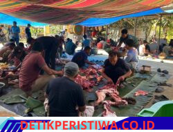 Masyarakat Desa Alue Sentang Melaksanakan Qurban Menyambut Idul Adha 1447 H