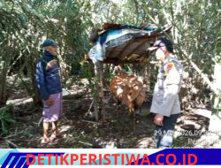Melalui Giat Colling System, Bhabinkamtibmas Sambangi Kandang Ternak Warga di Desa Pering Sari