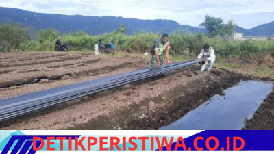 Babinsa Koramil Ketol Dampingi Petani Pasang Mulsa Cabai untuk Tingkatkan Produktivitas