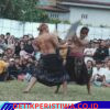 Festival Peresean Meriahkan HUT Desa Wisata Kembang Kuning, Bupati Lotim Dorong Jadi Agenda Berkala