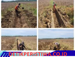 Masyarakat Cot Mane Bersihkan Irigasi dan Drainase Melalui PKTD, Perkuat Ketahanan Pangan