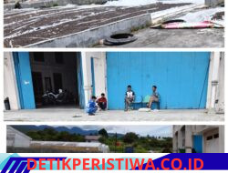 Petani Kopi Bener Meriah Tagih Pembayaran Rp319 Juta, Sabanolah Mengaku Belum Terima Uang Sepeser Pun dari CV Danish Bintang Antara