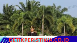 Jajaran Polres Mesuji melaksanakan upacara memperingati Hari Lahir Pancasila yang ke 118 Tahun 2026