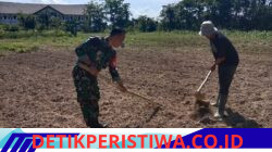 Babinsa Koramil Silih Nara Dampingi Warga Olah Lahan Pertanian di Rusip Antara