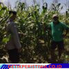 Dukung Program Asta Cita, Polsek Bebandem Tinjau Lahan Produktif Guna Akselerasi Swasembada Pangan
