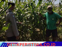 Dukung Program Asta Cita, Polsek Bebandem Tinjau Lahan Produktif Guna Akselerasi Swasembada Pangan
