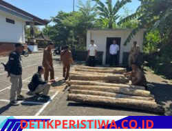Tindak Lanjuti Informasi Masyarakat, Polres Jembrana Berhasil Ungkap Dugaan  Illegal Logging di Melaya