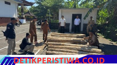 Tindak Lanjuti Informasi Masyarakat, Polres Jembrana Berhasil Ungkap Dugaan  Illegal Logging di Melaya