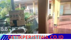 GWI Soroti Dugaan Kantor Dinas Pendidikan Pemuda dan Olahraga kabupaten Pandeglang Sepi Bagaikan Kuburan Tak Ada pelayanan di Jam Kerja