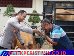 Kapolres Karangasem Kembalikan 4 Ekor Sapi Curian kepada Petani Pemilik, Usai Konferensi Pers