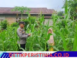 Polsek Bangkinang Barat Komitmen Wujudkan Swasembada Pangan di Wilayah Hukumnya Akan Menghasilkan dengan Maksimal