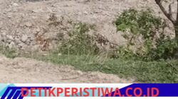 Diduga Gunakan Alat Berat, Aktivitas Tambang Emas Tanpa Izin di Desa Kibul Masih Berlangsung