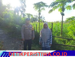 Polsek Bangkinang Barat Monitoring Kebun Warga di Pulau Jambu, Dukung Ketahanan Pangan