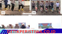 Kegiatan Penanaman Jagung Oleh Kapolres Oku Timur Dalam Rangka Mendukung Ketahanan Pangan Nasional Di Wilayah Kabupaten Oku Timur
