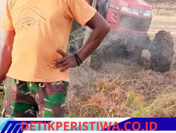 Hampir Delapan Bulan Pascabanjir, Arizal Mahdi Dan Keuchik Ulee Ceu Ajak Warga Bangkitkan Kembali Pertanian