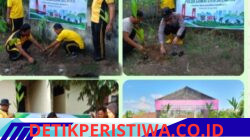 Sambut HUT Ke-80 Bhayangkara, Polsek Belitang III Tanam bibit Pohon Untuk Kelestarian Lingkungan