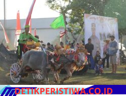 Lestarikan Budaya Bali Polres Jembrana Gelar Mekepung Kapolda Bali Cup 2026, Dua Ribu Pengunjung Padati Sirkuit All In One