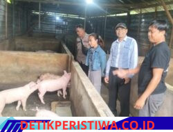 Perkuat Sinergi Bhabinkamtibmas Desa Sangkan Gunung, Sambangi Peternak Babi Melalui Giat DDS