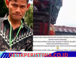 Viral Dugaan Tambang Emas di Ketol, Satria Minta Pemerintah Segera Usut Tuntas