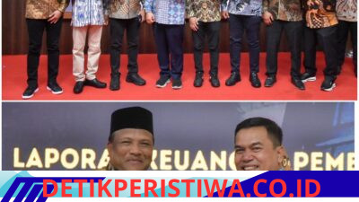 LKPD 2025 Bireuen Raih Opini WTP, Bupati Komit Tindak Lanjuti Rekomendasi BPK