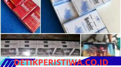 Maraknya Peredaran Rokok Ilegal Manchester di Batam, Seolah Bea Cukai Tutup Mata Siapa Dalangnya Permainan Rokok Ilegal ini?