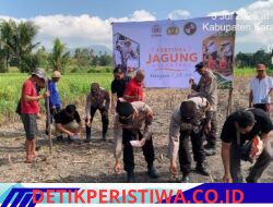 Dukung Ketahanan Pangan Nasional, Festival Jagung Nusantara Sukses Digelar di Kec. Bebandem Kab. Karangasem
