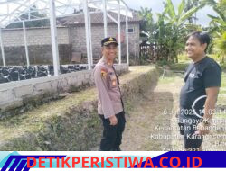Dukung Ketahanan Pangan, Kapolsek Bebandem Sambangi Usaha Pertanian Modern Green House di Desa Bungaya