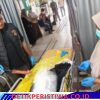 Polres Aceh Timur Selidiki Penemuan Jenazah Bayi di Simpang Ulim