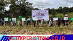 Panen Bawang Merah, Bupati Humbahas Apresiasi Dukungan Pemprov Sumut bagi Petani