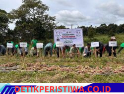 Panen Bawang Merah, Bupati Humbahas Apresiasi Dukungan Pemprov Sumut bagi Petani