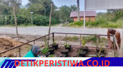 Mahasiswa KKN STIKES PNAD Tanam TOGA untuk Mendukung Ketahanan Pangan di Desa Syura Jadi