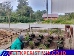 Mahasiswa KKN STIKES PNAD Tanam TOGA untuk Mendukung Ketahanan Pangan di Desa Syura Jadi