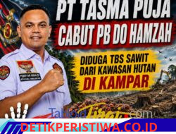 Diduga TBS Sawit dari Kawasan Hutan di Kampar, Elang 3 Hambalang Riau Minta PT Tasma Puja Cabut PB DO Hamzah