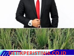 Tarmizi Age: Sawah Padi Kering Pemerintah di Usul Bangun Sumur Bor
