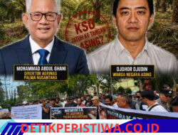 KSO Jatuh Ke Pihak Asing: Hashim Djojohadikusumo Dinilai Keliru Tunjuk Abdul Ghani Jadi Direktur Agrinas