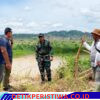 Percepatan Pembangunan Jembatan Beton dan Perintis, Komandan Kodim 0103 Langsung Tinjau ke Lubok Pusaka