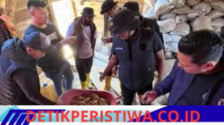 Diduga Jadi Sarang Tambang Emas Ilegal, Lokasi PETI di Arul Badak Digerebek Polres Aceh Tengah, Ratusan Karung Material Diamankan
