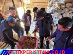 Diduga Jadi Sarang Tambang Emas Ilegal, Lokasi PETI di Arul Badak Digerebek Polres Aceh Tengah, Ratusan Karung Material Diamankan