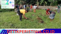 Semangat Kebersamaan Bhabinkamtibmas Desa Bungaya dengan Warga, saat Gotong Royong Jelang Piodalan Usaba Sri